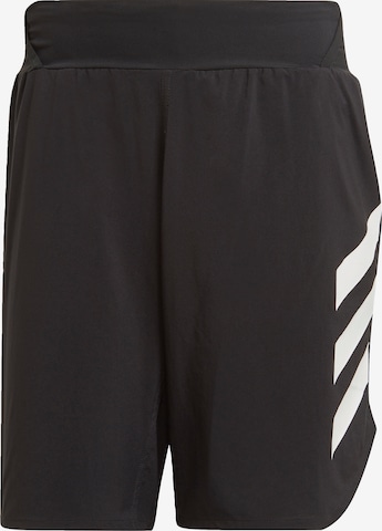 ADIDAS TERREX Regular Workout Pants 'Agravic AIIA' in Black: front