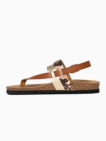 Bayton Sandal 'Lajas' in Brown