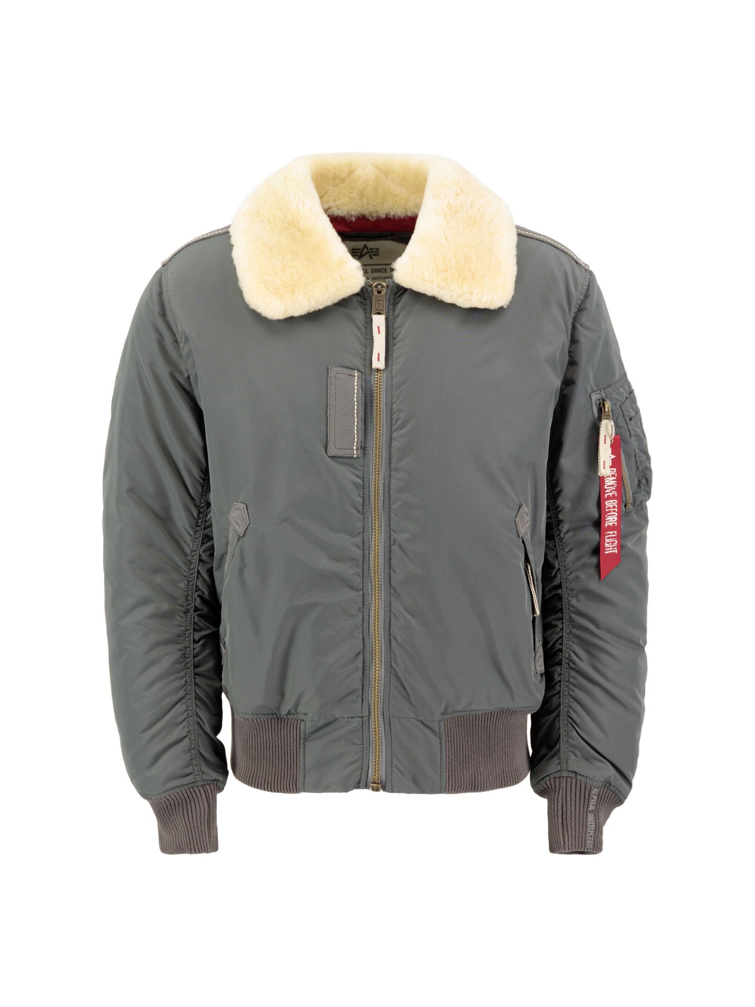 ALPHA INDUSTRIES Between-Season Jacket 'Injector III' in Grey: front
