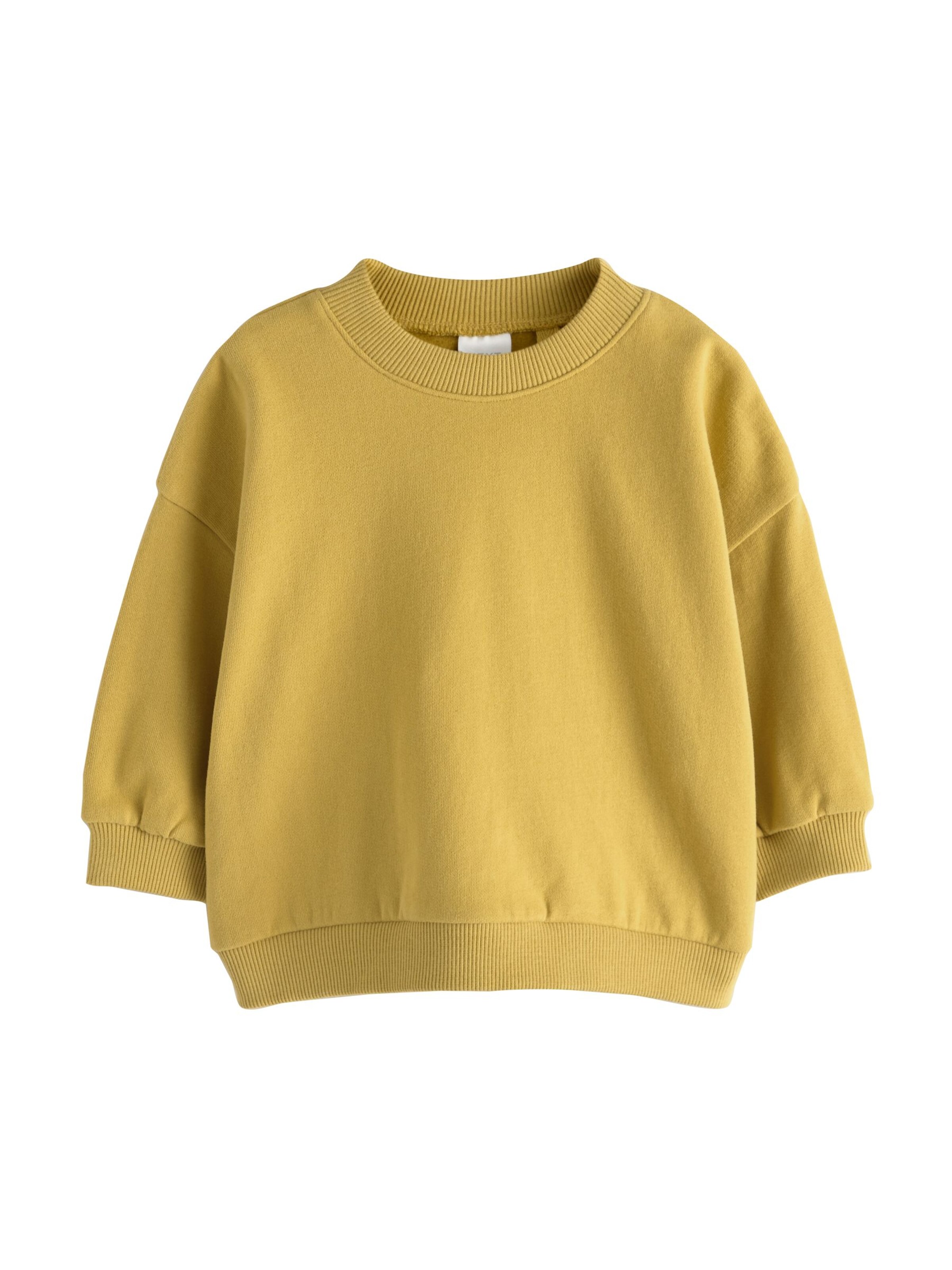 Next Sweatshirt in Brown