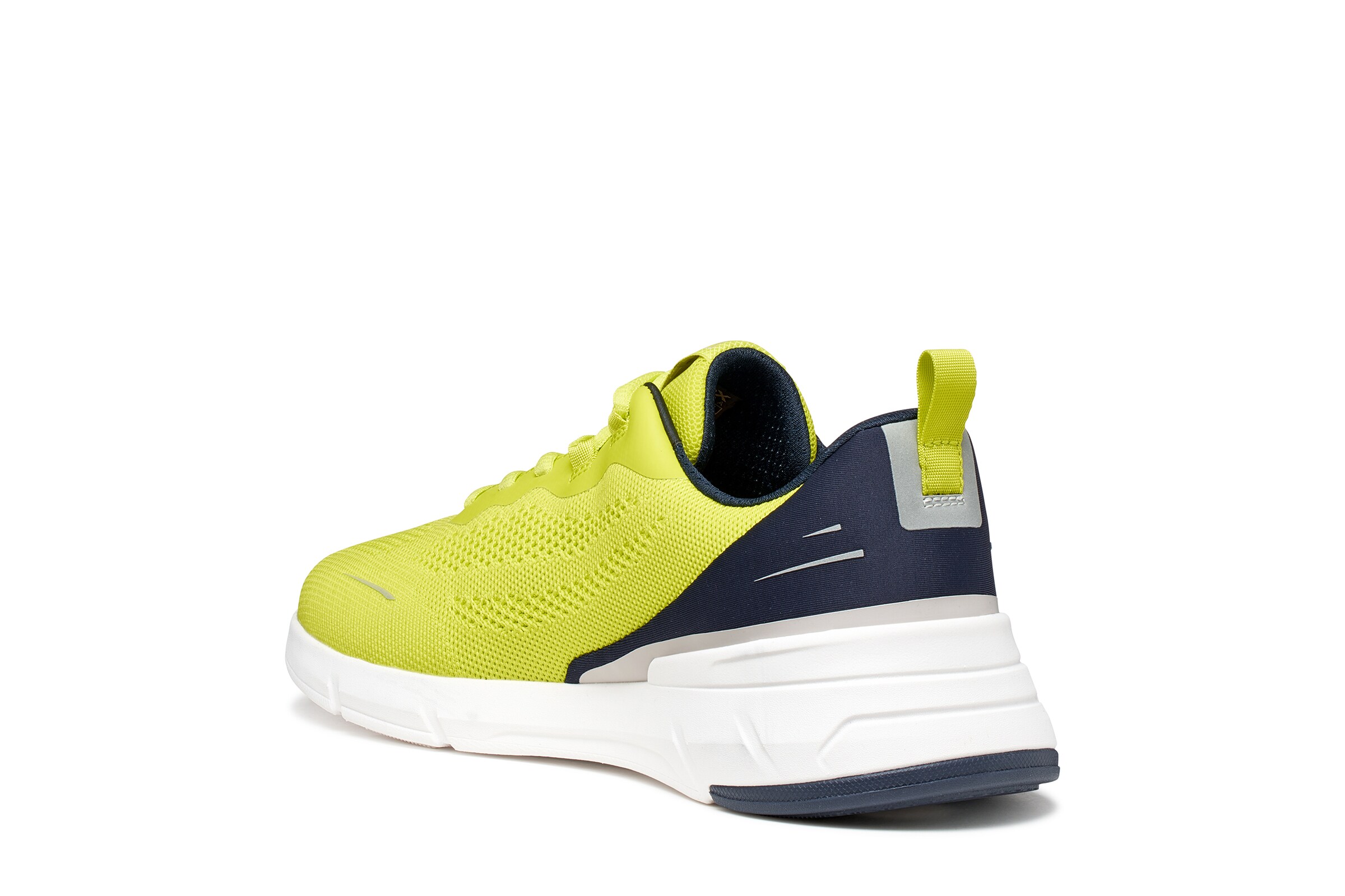 GEOX Sneakers in Green