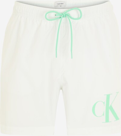 Calvin Klein Swimwear Shorts de bain en menthe / blanc, Vue avec produit