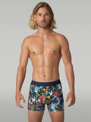 MUCHACHOMALO Boxer shorts 'Muchachomalo Cotton Boxershorts' in Blue