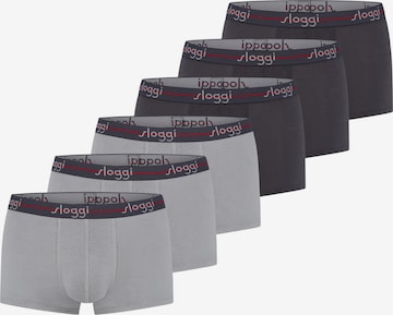 SLOGGI Boxer shorts 'Start' in Grey: front
