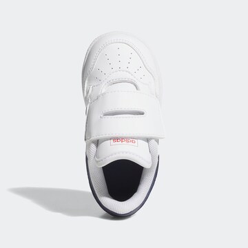 ADIDAS SPORTSWEAR Sneakers in White