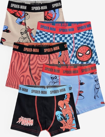 smėlio Next Apatinės kelnaitės 'Spiderman': priekis