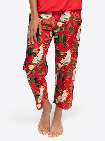 Cyberjammies Pyjamabroek ' Tara ' in Rood