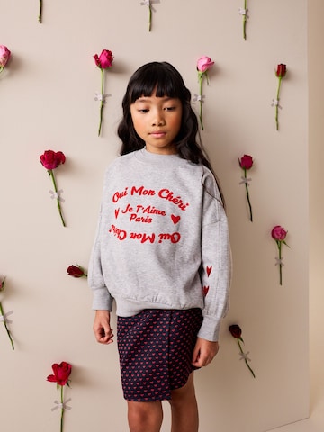 Next Sweatshirt in Grau