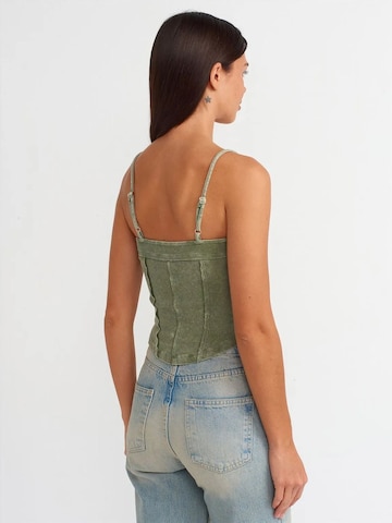 Haut Dilvin en vert
