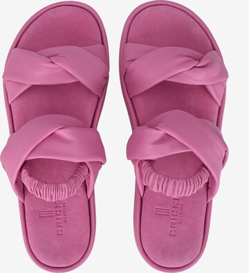 Crickit Strap Sandals 'JANEKE' in Pink