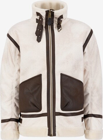 Giacca invernale di ALPHA INDUSTRIES in beige: frontale