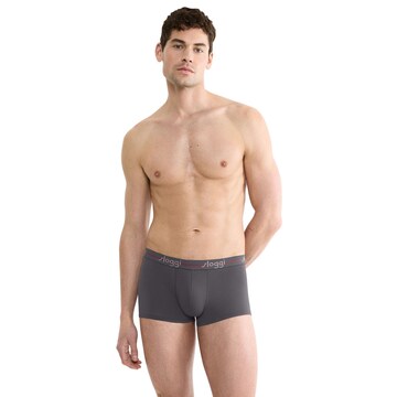 SLOGGI Boxer shorts in Grey: front