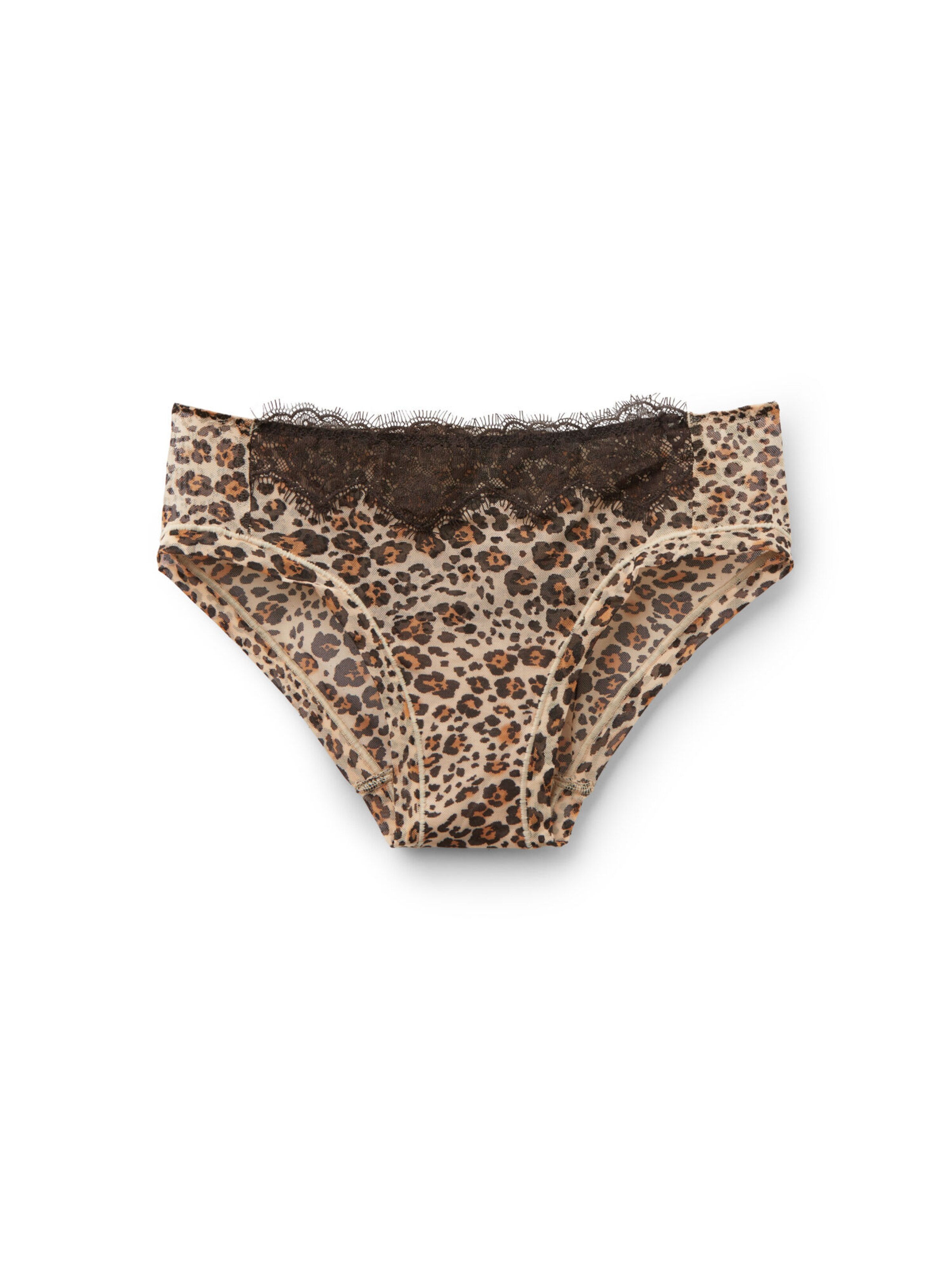 INTIMISSIMI Panty 'Simply Iconic' in Brown: front