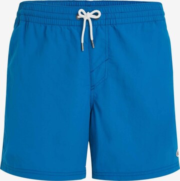 O'NEILL Boardshorts 'Vert' in Blauw: voorkant