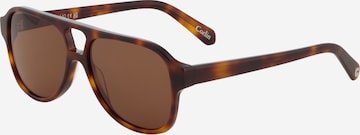 Corlin Aurinkolasit 'Gelo Tortoise' värissä ruskea: etupuoli