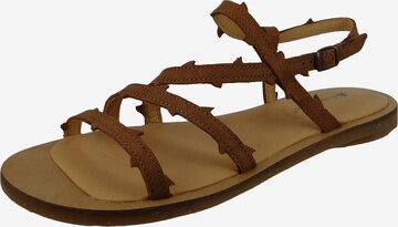 EL NATURALISTA Strap Sandals in Brown: front