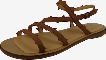 EL NATURALISTA Sandalen met riem in Bruin: voorkant