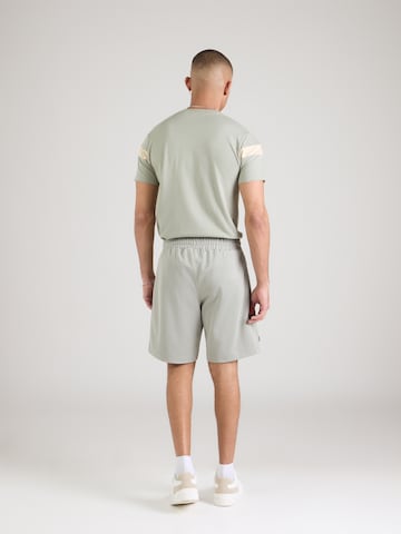 Regular Pantalon 'Bertoni' ELLESSE en vert