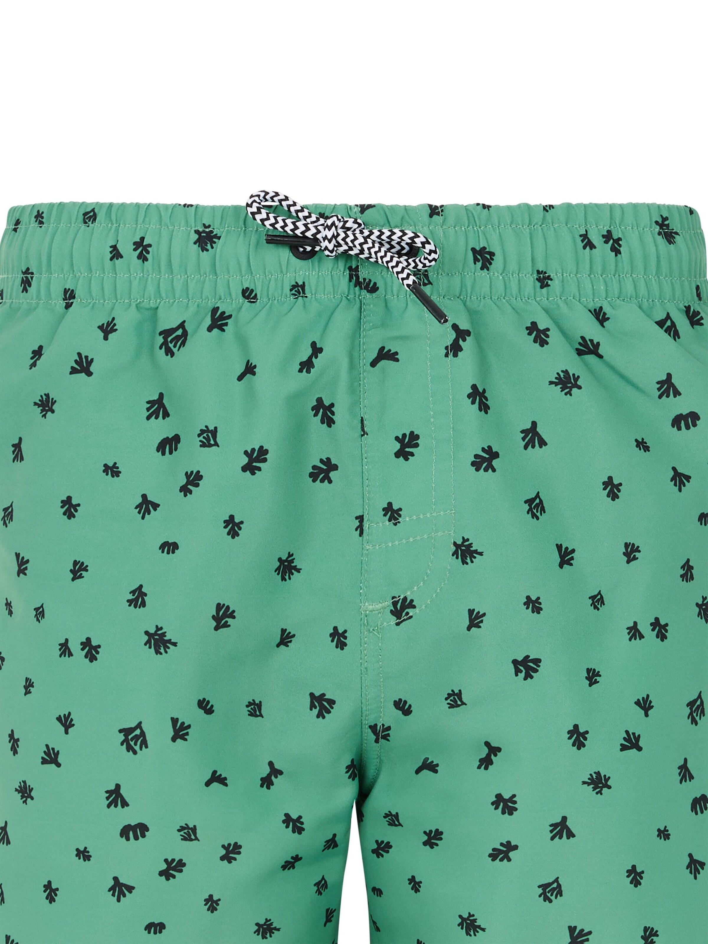 PROTEST Board Shorts 'PRTTyson JR' in Green
