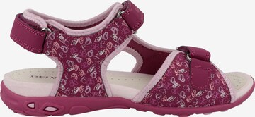 GEOX Open schoenen 'Whinberry' in Roze
