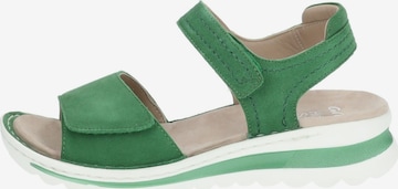 Sandalo di ARA in verde