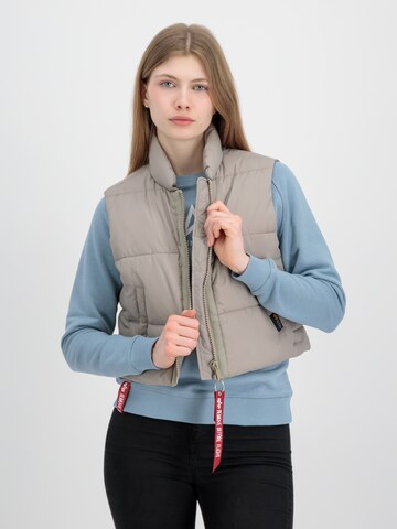 ALPHA INDUSTRIES Bodywarmer in Beige: voorkant