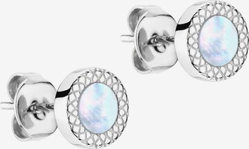 Apple of Eden Earrings in Silver: front