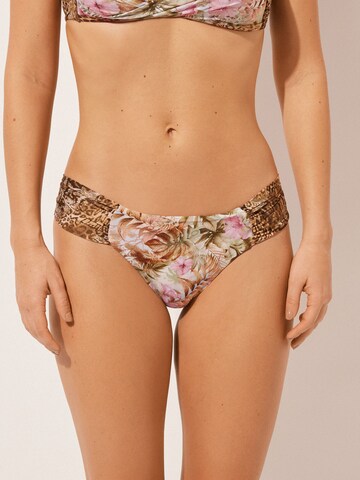 CALZEDONIA Bikini Bottoms in Mixed colors: front