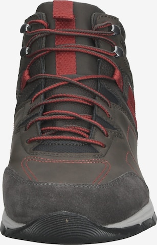 GEOX High-Top Sneakers in Brown