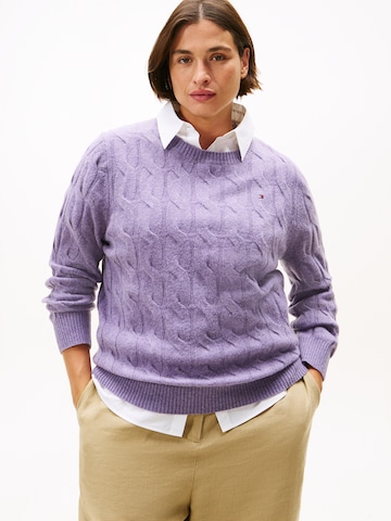 Tommy Hilfiger Curve Sweater in Purple: front