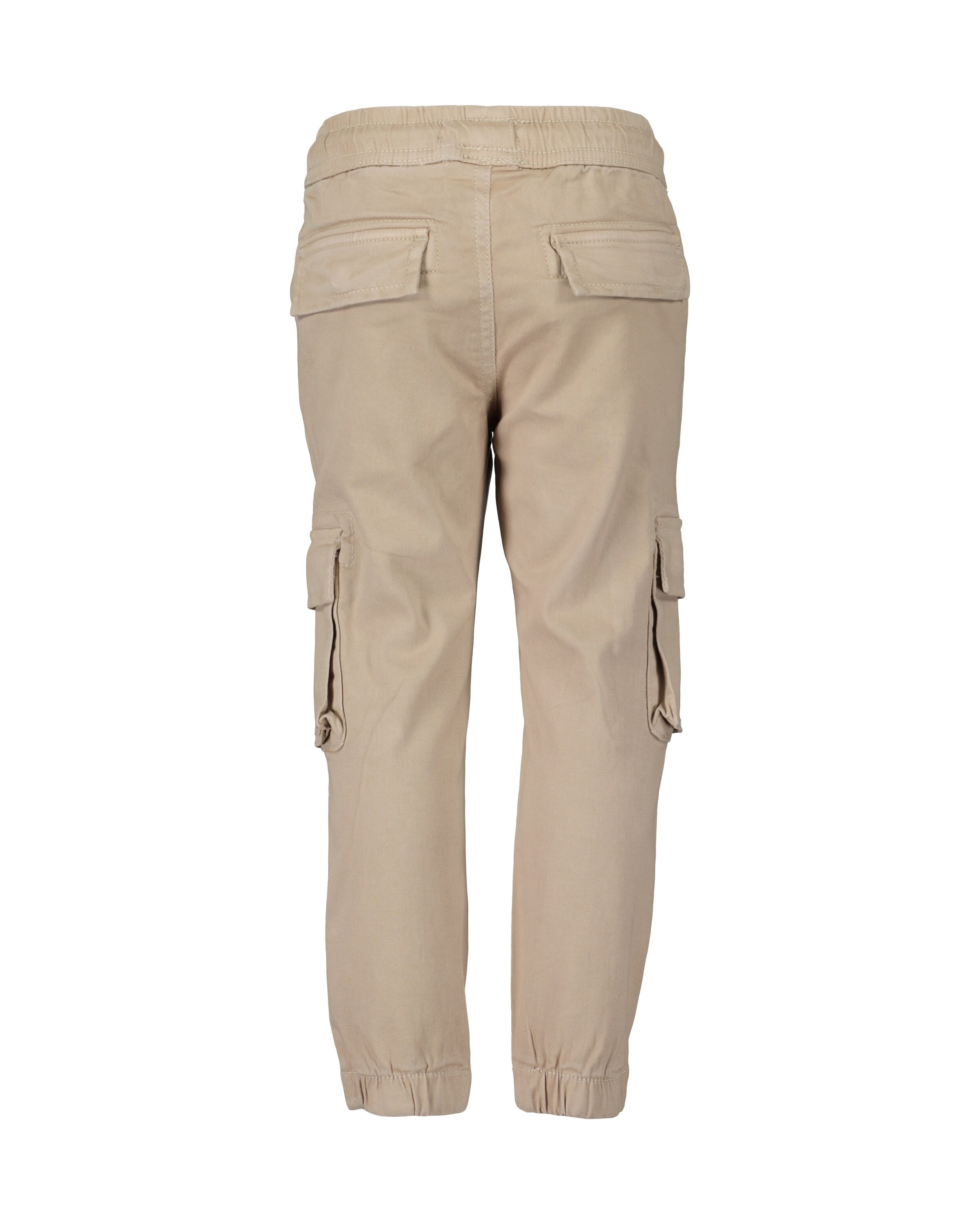 BLUE SEVEN Regular Pants in Beige