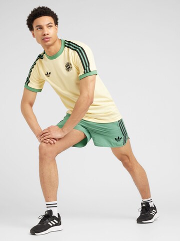 ADIDAS PERFORMANCE - Regular Calças de desporto em verde