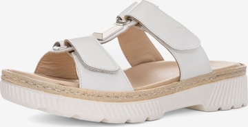 Zoccoletto di ARA in bianco: frontale