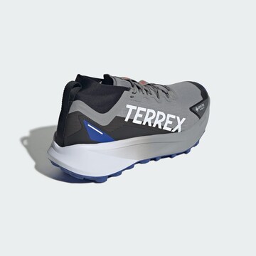 ADIDAS TERREX Lage schoen 'Agravic GTX' in Grijs