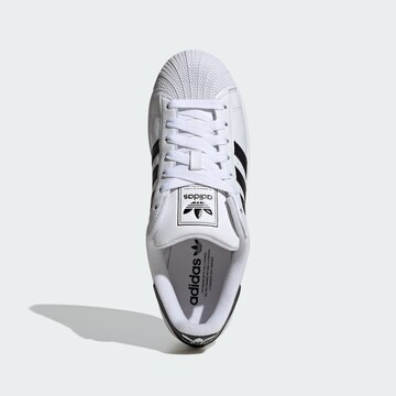 Baskets basses 'Superstar' ADIDAS ORIGINALS en blanc