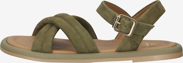 SANSIBAR Sandalen met riem in Groen