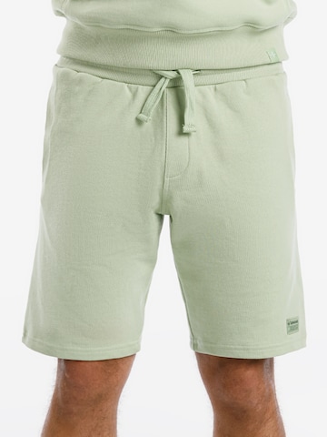 SPITZBUB Regular Pants 'Gunnar' in Green: front