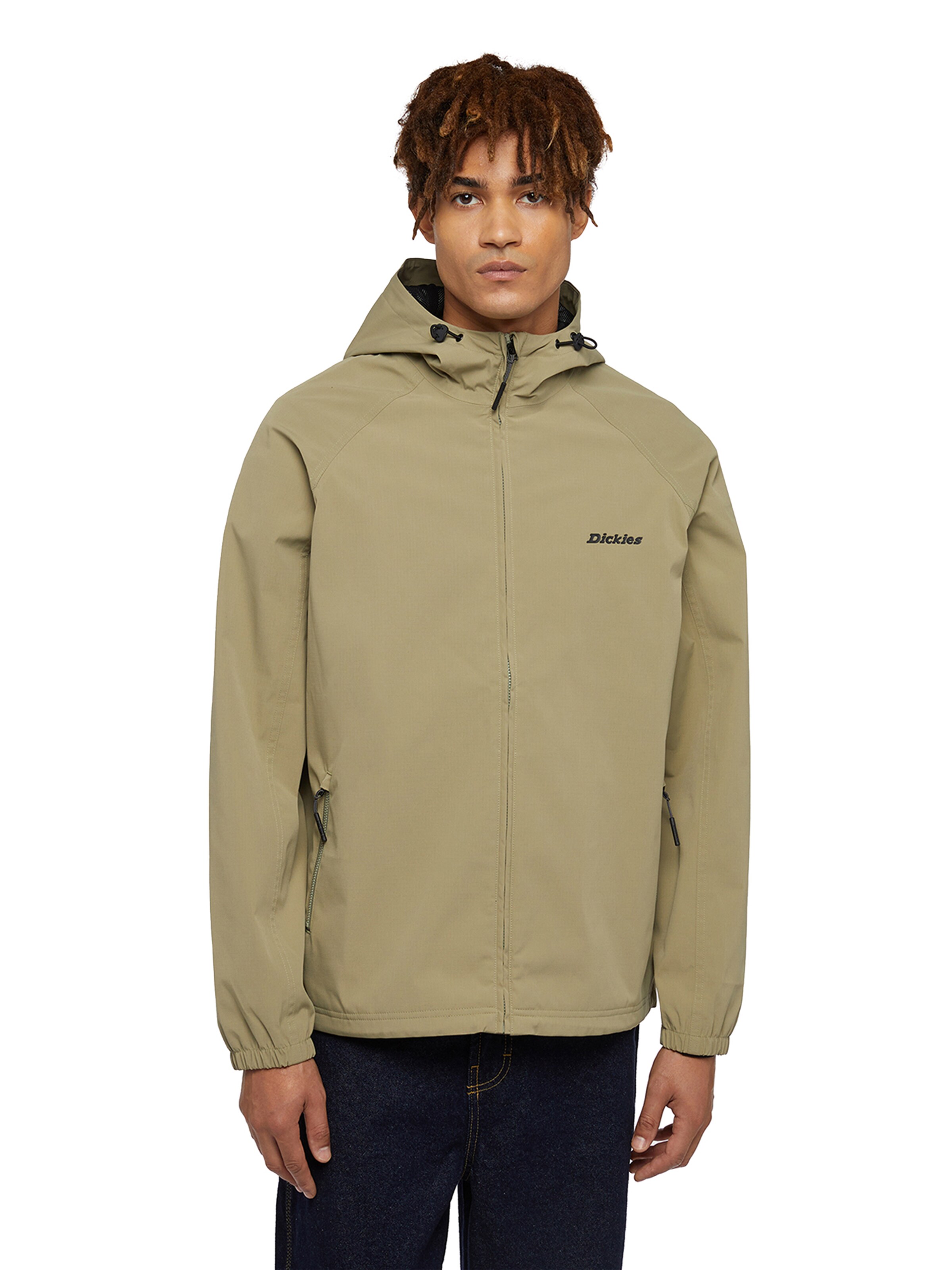 DICKIES Between season jacket RONAN in Green ABOUT YOU