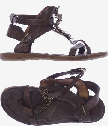 A.S.98 Sandals & High-Heeled Sandals in 40 in Brown: front