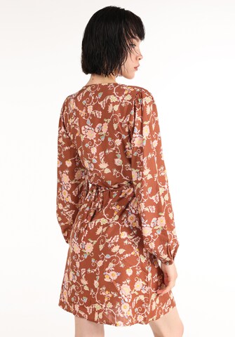 Colin's Dress in Brown