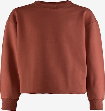 Sweat-shirt BLUE EFFECT en marron : devant