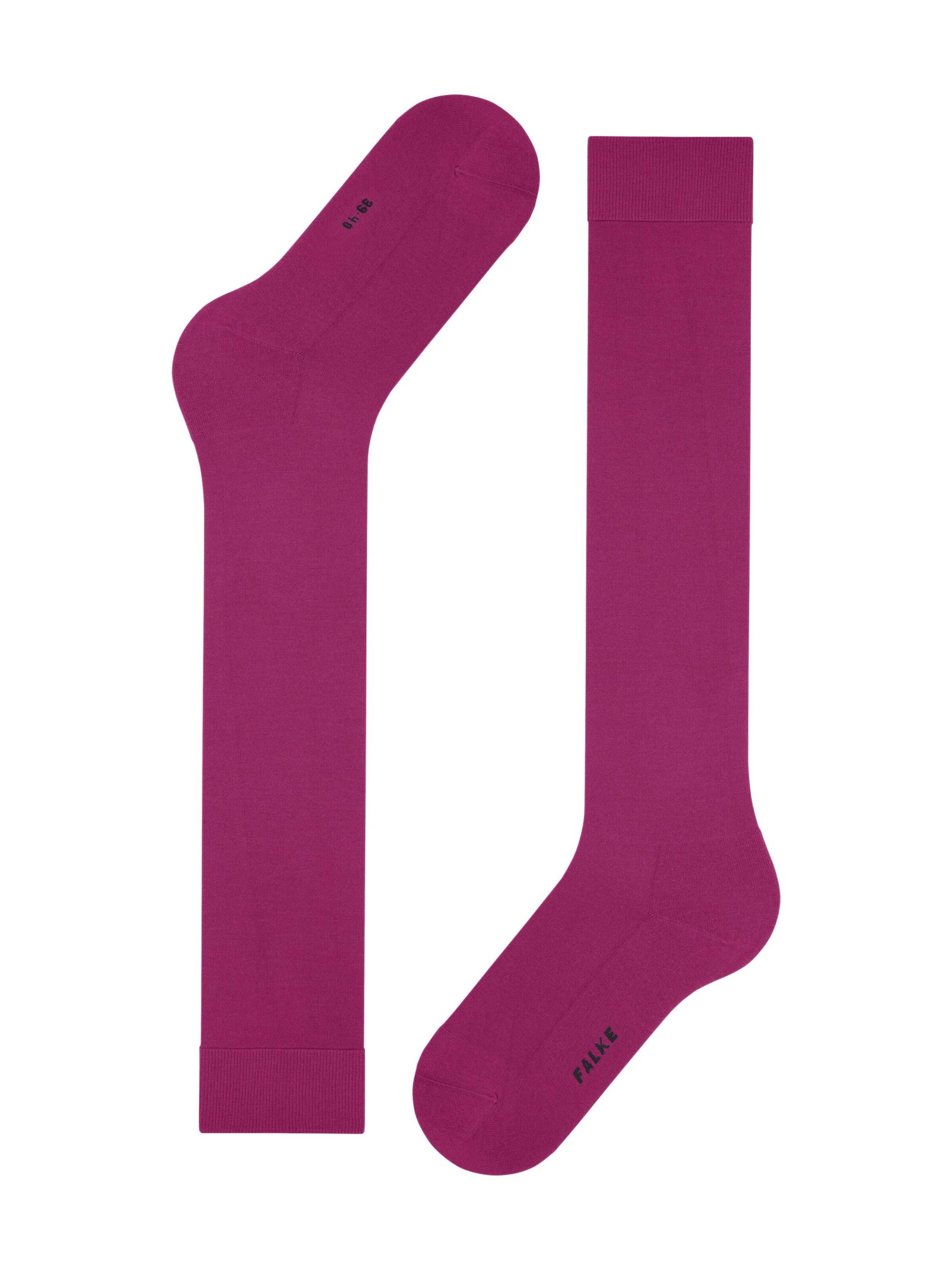 FALKE Kniestrümpfe 'ClimaWool'‌ in Lila