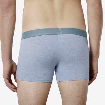 BRUNO BANANI Boxershorts in Blau