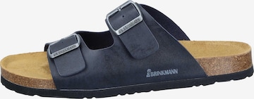DR. BRINKMANN Mule 'Bonillo' in Blue: front