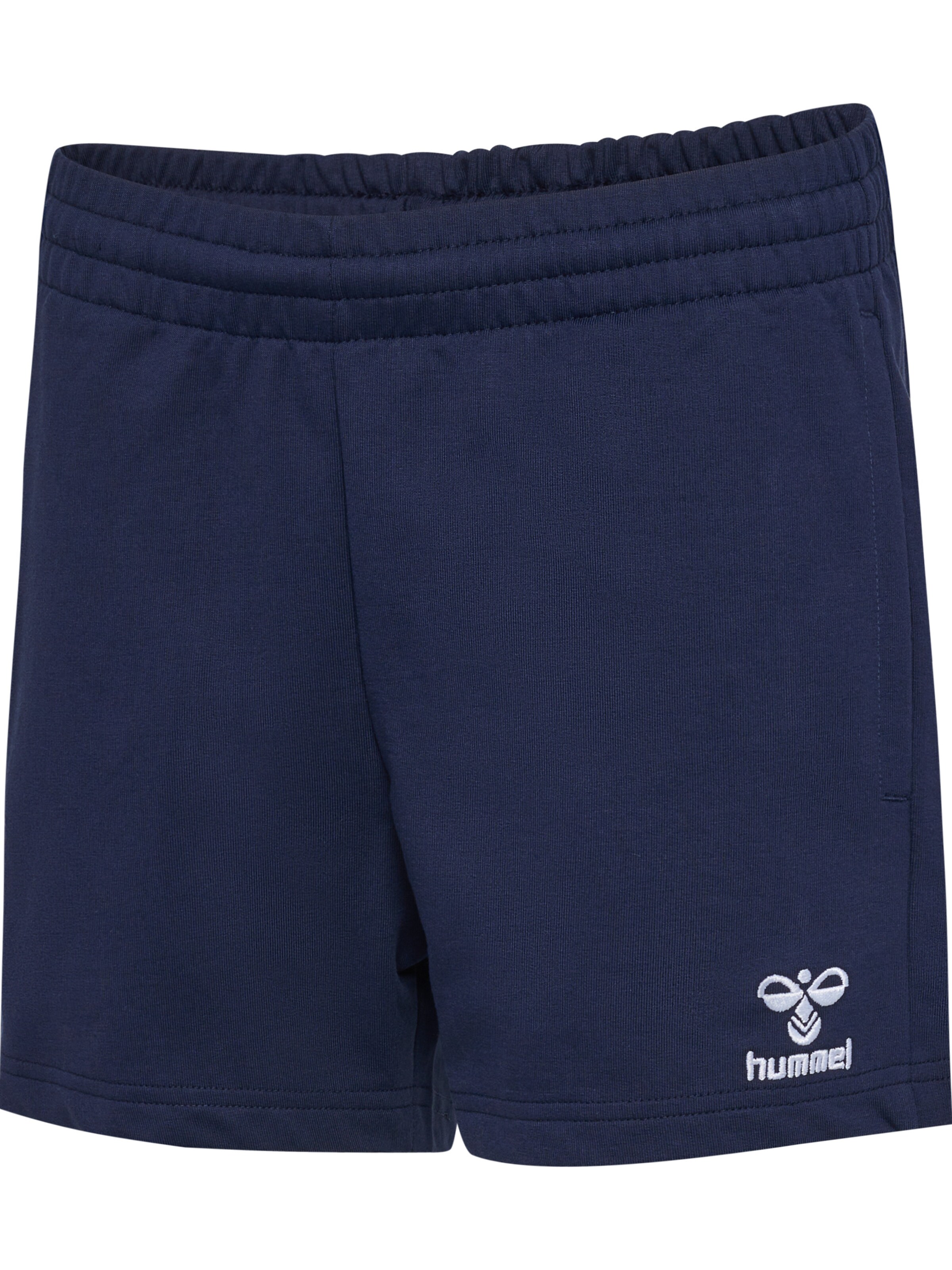 Hummel Regular Sportbroek 'Go 2.0' in Blauw