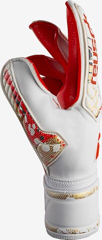 REUSCH Athletic Gloves 'Attrakt Gold X GluePrint' in Red