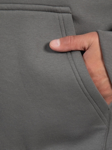 Veste de survêtement Smilodox en gris