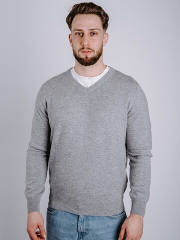 DELGER Pullover‌‌‌ in Grau: Vorderseite