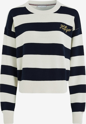 TOMMY HILFIGER Sweater in Blue: front