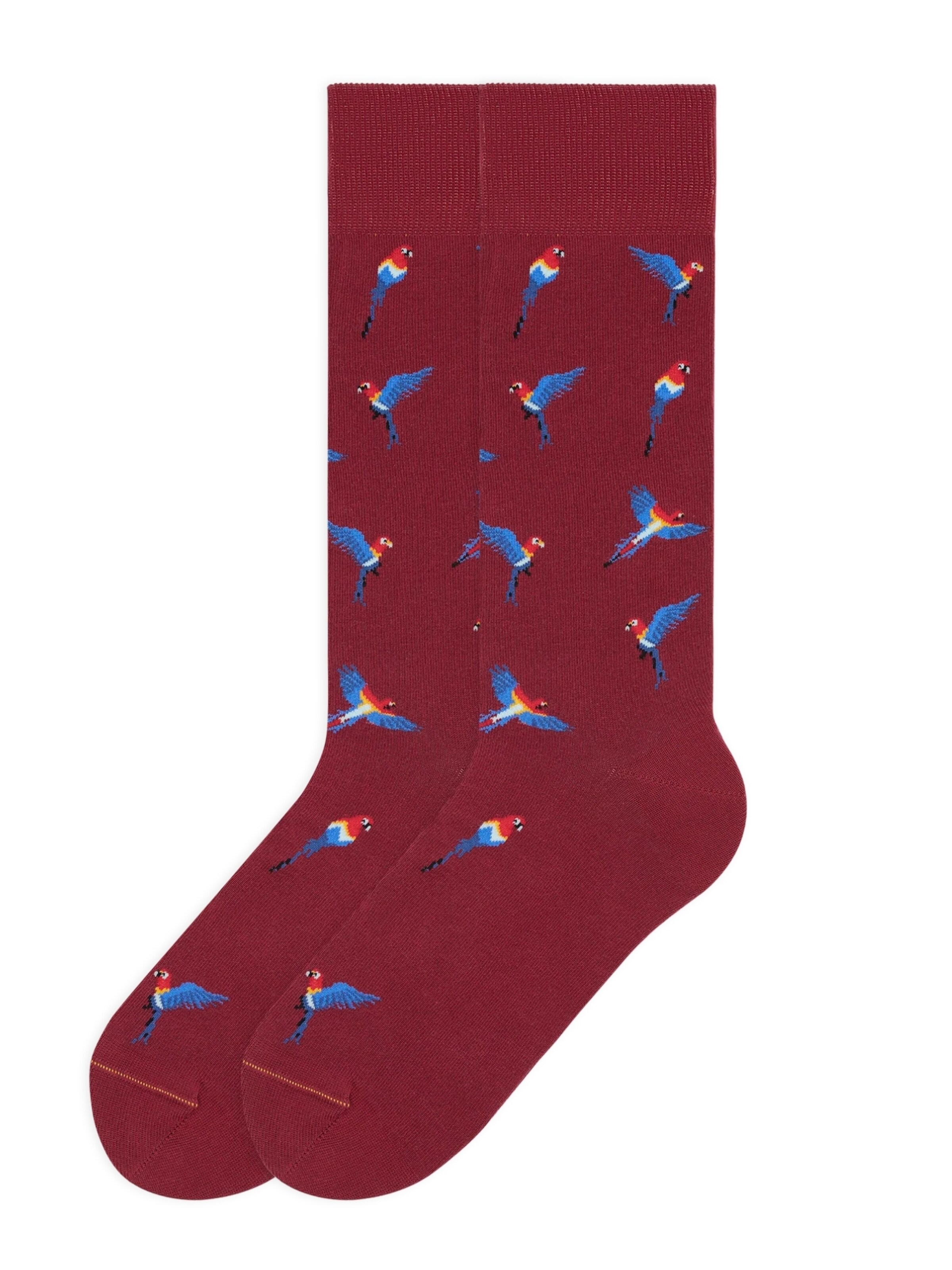 Von Jungfeld Socken 'Papagei Icon'‌‌‌‌‌‌ in Rot: Vorderseite
